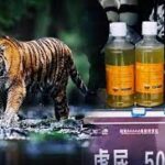 Tiger Urine China