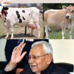 Gau Palan Anudan
