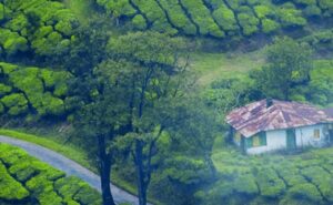 Hill Stations In Summer Vacation
