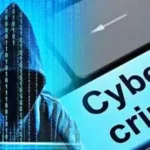 Cyber Fraud