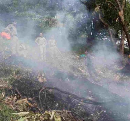 Kedarnath Helicopter Crash