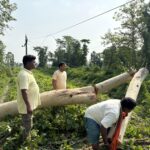PURNEA NEWS