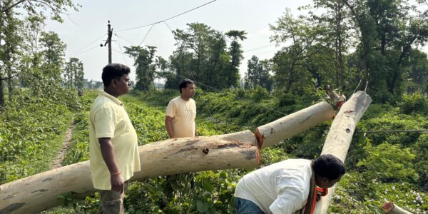 PURNEA NEWS