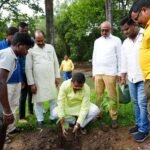 World Environment Day 2025