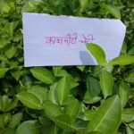 World Environment Day 2025
