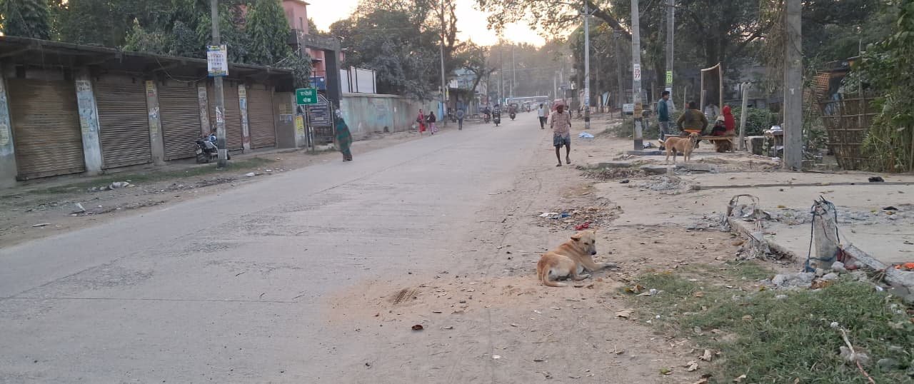 अतिक्रमण हटने के बाद हुआ खुलासा, स्थानीय लोग सरकारी जमीन पर करते थे कब्जा एवं लगाते थे भाडा