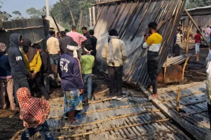 Fire breaks out in cattle shed, 11 cattle burned to death, farmer cries out