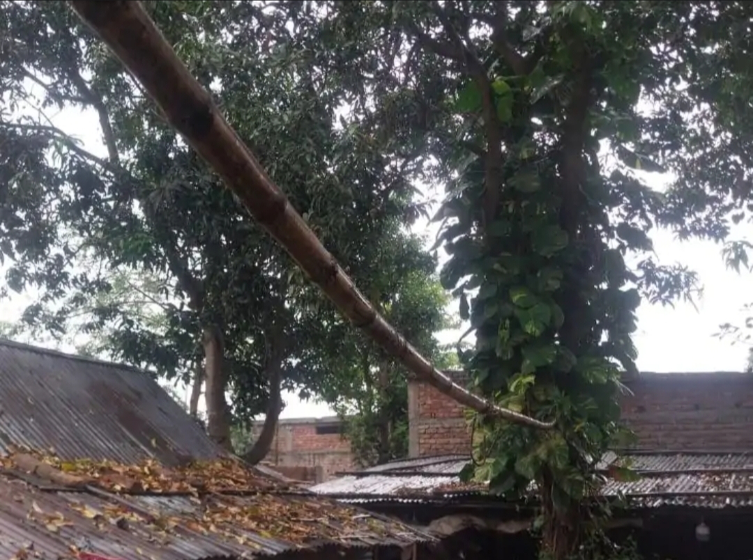 अप्रैल के अंत में मौसम का उलझा मिज़ाज : अररिया और आसपास बारिश का संकेत, वहीं दक्षिण-बिहार में भीषण गर्मी और लू का खतरा